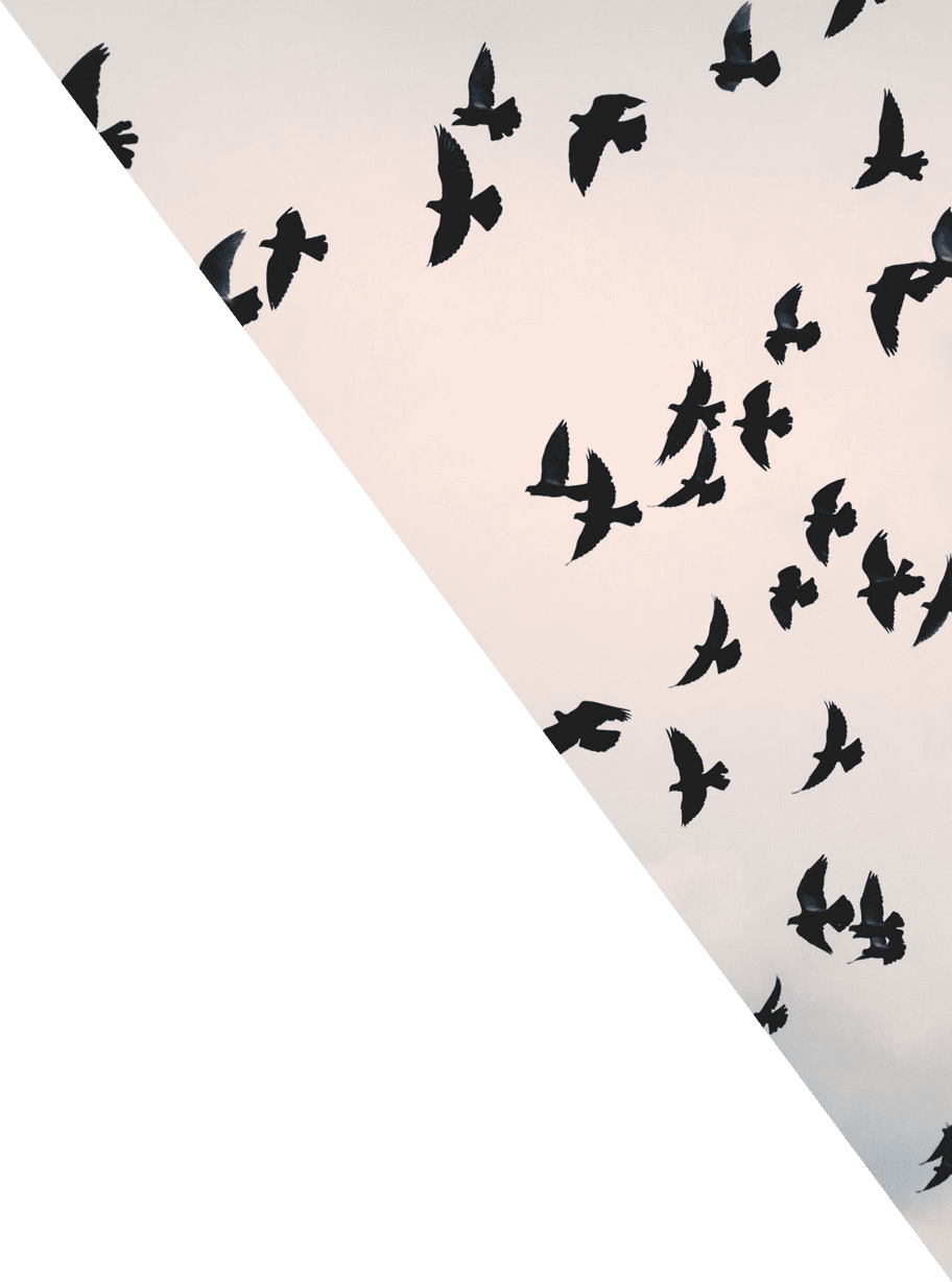 vogels